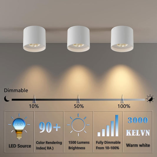 Ceiling Light Fixture, Flush Mount Ceiling Lights LED Dimmable Cylinder Ceiling