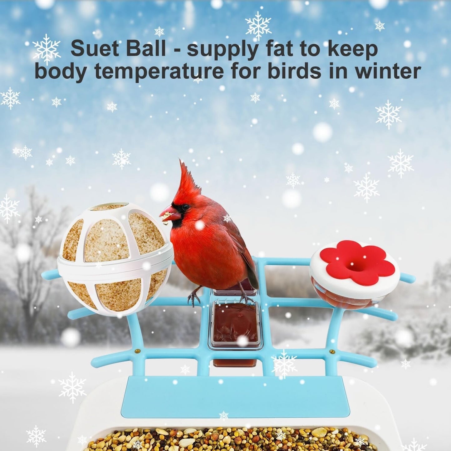 64GB Smart Bird Feeder with Camera Solar Powered, 2K 3MP HD Live Video