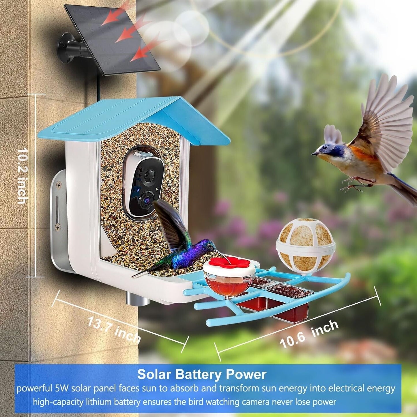 64GB Smart Bird Feeder with Camera Solar Powered, 2K 3MP HD Live Video