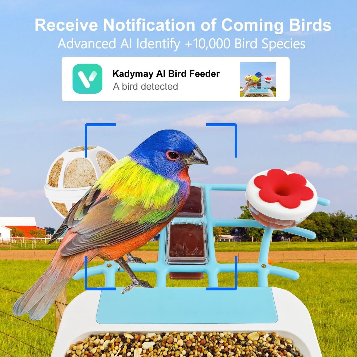 64GB Smart Bird Feeder with Camera Solar Powered, 2K 3MP HD Live Video