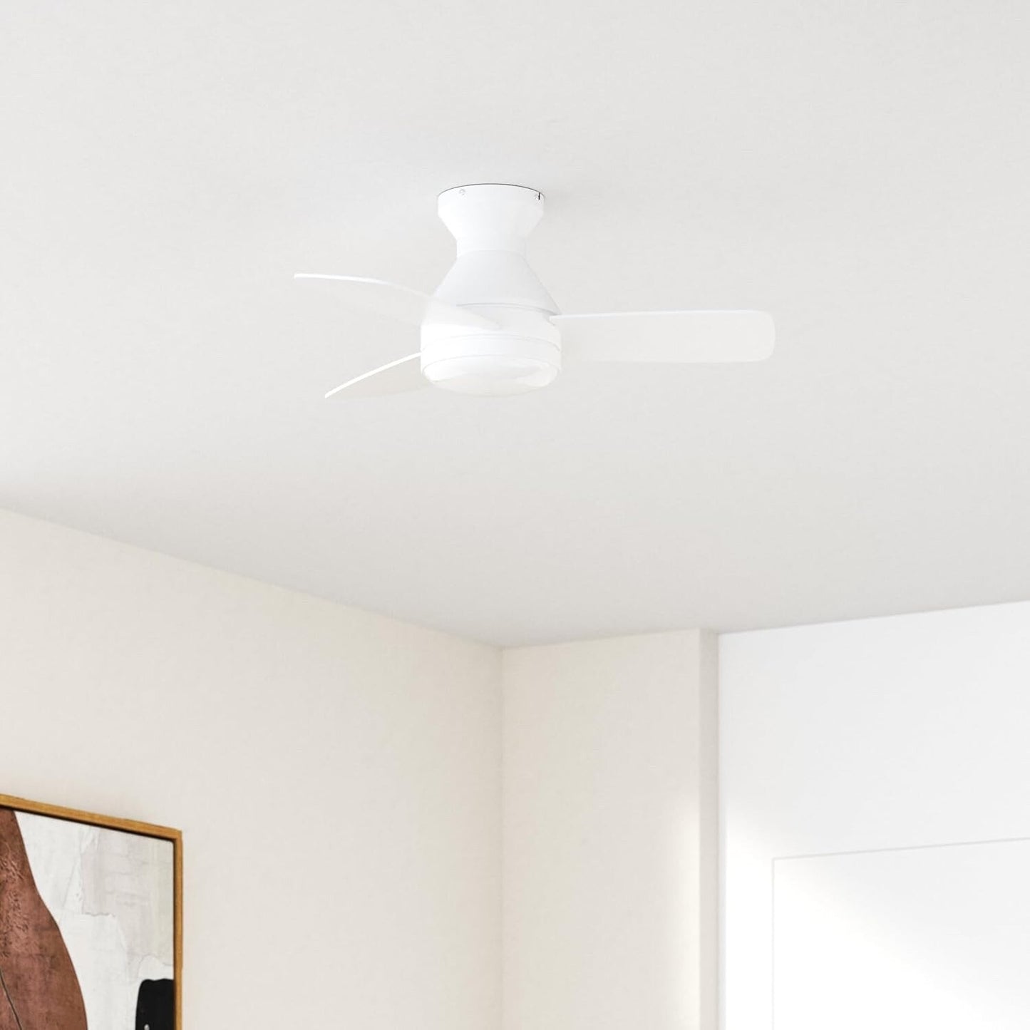 Amico Ceiling Fans with Lights, 30 inch Low Profile Ceiling Fan with Light