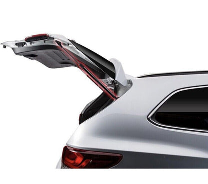 TSG223009 Trunk Lid Lift Support for Subaru Outback 2010 - 2014