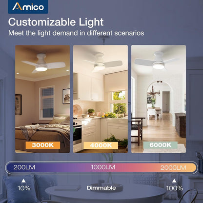 Amico Ceiling Fans with Lights, 30 inch Low Profile Ceiling Fan with Light