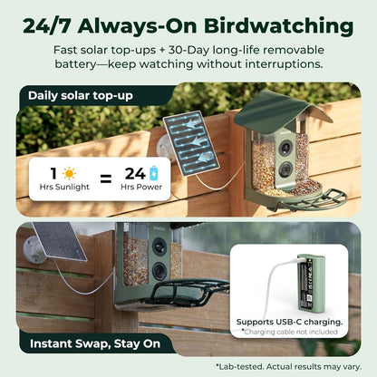 Smart Bird Feeder with Camera Solar Powered, 4K Video Live Stream, 8MP Photos, A