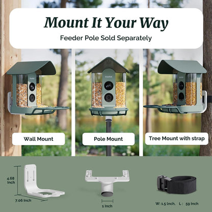 Smart Bird Feeder with Camera Solar Powered, 4K Video Live Stream, 8MP Photos, A
