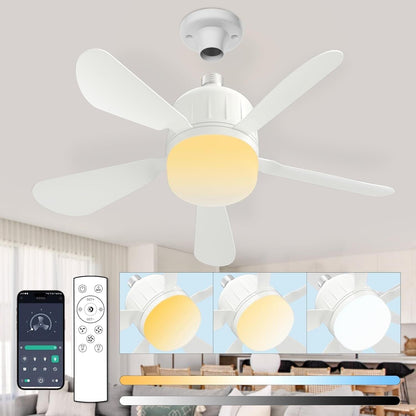 Socket Ceiling Fan Light with Remote Ceiling Fans pack of 2
