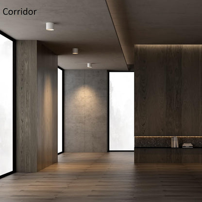 Ceiling Light Fixture, Flush Mount Ceiling Lights LED Dimmable Cylinder Ceiling