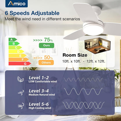 Amico Ceiling Fans with Lights, 30 inch Low Profile Ceiling Fan with Light