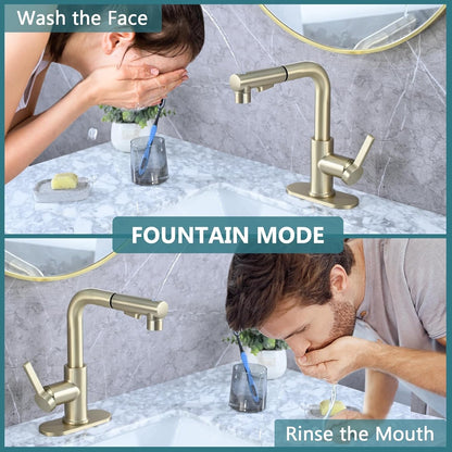 Bathroom Sink Faucet with Pull Out Sprayer Single Handle Modern Bathroom Basi...