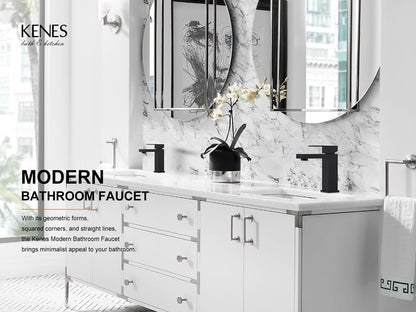 KENES Matte Black Single Handle Bathroom Sink Faucet, Stainless Steel Vanity