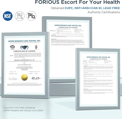 FORIOUS Black Kitchen Faucet with Pull Down Sprayer, High Arc Modern Classic Sin