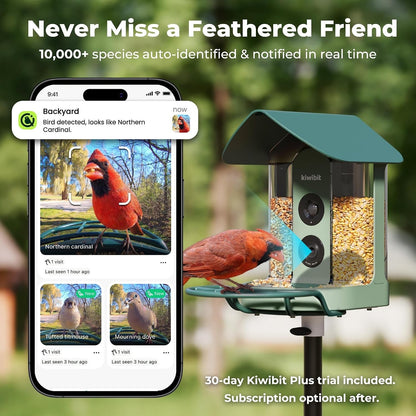 Smart Bird Feeder with Camera Solar Powered, 4K Video Live Stream, 8MP Photos, A