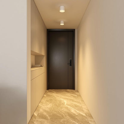 Ceiling Light Fixture, Flush Mount Ceiling Lights LED Dimmable Cylinder Ceiling