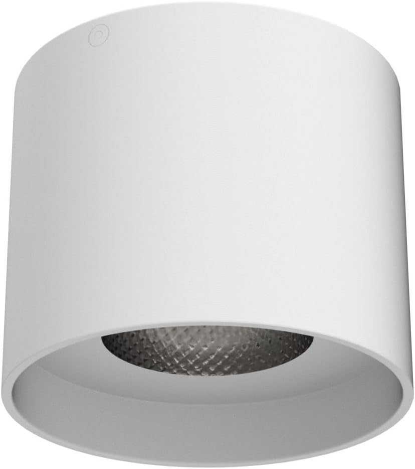 Ceiling Light Fixture, Flush Mount Ceiling Lights LED Dimmable Cylinder Ceiling