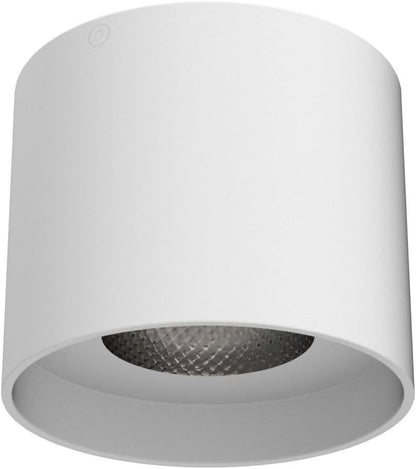 Ceiling Light Fixture, Flush Mount Ceiling Lights LED Dimmable Cylinder Ceiling