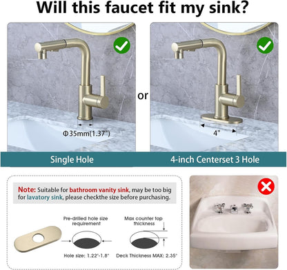 Bathroom Sink Faucet with Pull Out Sprayer Single Handle Modern Bathroom Basi...