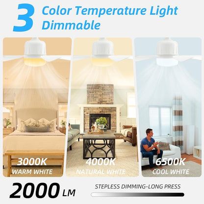 Socket Ceiling Fan Light with Remote Ceiling Fans pack of 2