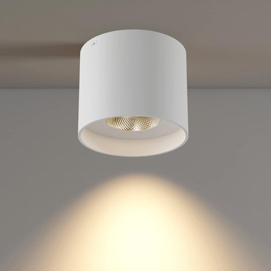 Ceiling Light Fixture, Flush Mount Ceiling Lights LED Dimmable Cylinder Ceiling