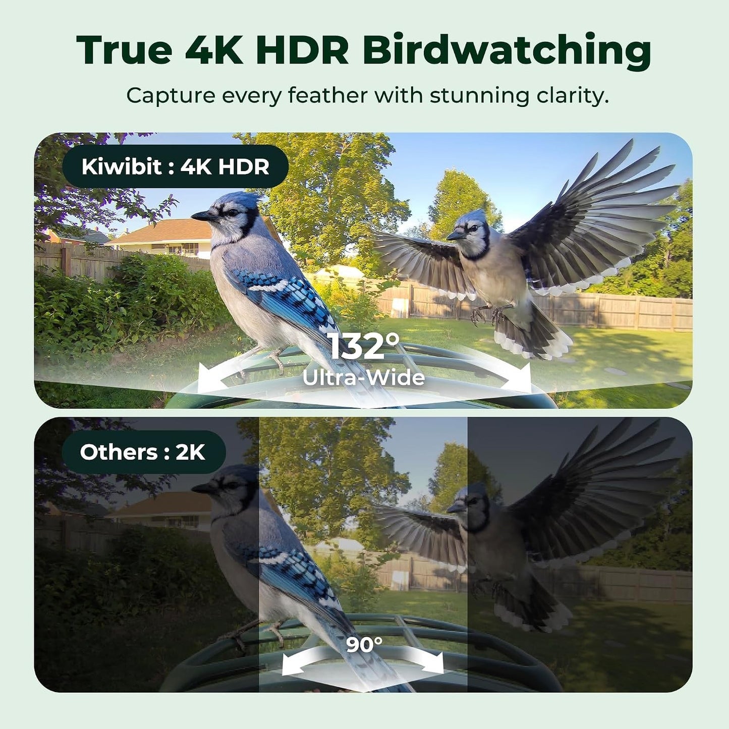 Smart Bird Feeder with Camera Solar Powered, 4K Video Live Stream, 8MP Photos, A